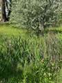 1797 County Rd 346 - Photo 24