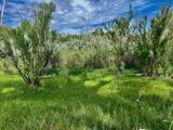 1797 County Rd 346 - Photo 26