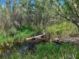 1797 County Rd 346 - Photo 27