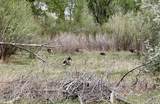 1797 County Rd 346 - Photo 8