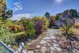 1441 17 1/2 Road - Photo 23