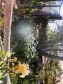 112 Whitehead Drive - Photo 39