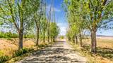 4521 Old Kannah Creek Road - Photo 1