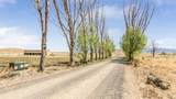 4521 Old Kannah Creek Road - Photo 12