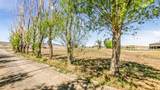 4521 Old Kannah Creek Road - Photo 9
