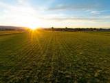 1288 18 1/2 Road - Photo 10