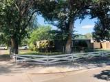 1645 Blue Gill Drive - Photo 1
