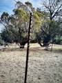4459 Horse Canyon Road - Photo 13