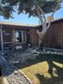 534 Otono Court - Photo 3
