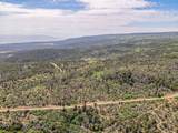 TBD Elk Reserve Road - Photo 10