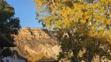 2180 Canyon View Drive - Photo 11