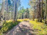 620 Crest Drive - Photo 3