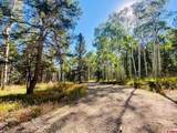 620 Crest Drive - Photo 6