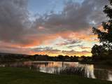 723 Moores Diamond Drive - Photo 42