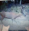 56001 Kk Road - Photo 38