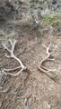 56001 Kk Road - Photo 39