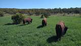 56001 Kk Road - Photo 40