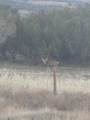 56001 Kk Road - Photo 41