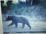 56001 Kk Road - Photo 42