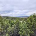 1775 35 1/10 Road - Photo 18
