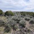 1775 35 1/10 Road - Photo 21