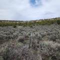 1775 35 1/10 Road - Photo 22