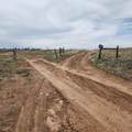 1775 35 1/10 Road - Photo 27