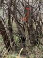 459 1740 Road - Photo 31