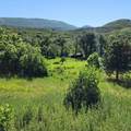 22991 Divide Creek Road - Photo 36