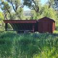 22991 Divide Creek Road - Photo 38