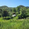 22991 Divide Creek Road - Photo 9
