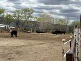 851 21 Road - Photo 8