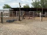 851 21 Road - Photo 9