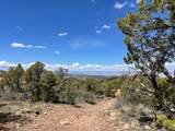 LOTS 4,5,& 6 Elk Ranch Road - Photo 17