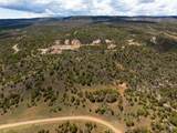 LOTS 4,5,& 6 Elk Ranch Road - Photo 21