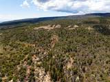 LOTS 4,5,& 6 Elk Ranch Road - Photo 22