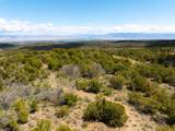 LOTS 4,5,& 6 Elk Ranch Road - Photo 28