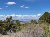 LOTS 4,5,& 6 Elk Ranch Road - Photo 30