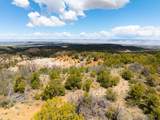 LOTS 4,5,& 6 Elk Ranch Road - Photo 31