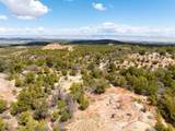 LOTS 4,5,& 6 Elk Ranch Road - Photo 8