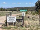Lot 16 Elk Reserve Road - Photo 15