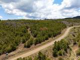 Lot 16 Elk Reserve Road - Photo 8
