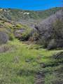 3465 Tbd - Photo 11