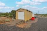 4597 Horse Canyon Road - Photo 23