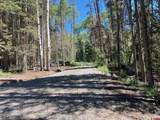 1772 Spruce Drive - Photo 6