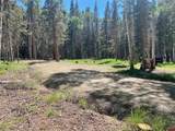 1772 Spruce Drive - Photo 8