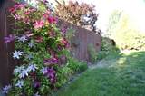 778 Jordanna Road - Photo 4