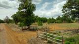 850 Canyon Ridge Road - Photo 22