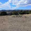 2427 Hidden Valley Drive - Photo 3