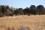 TBD Tract 8 Bostwick Park Road - Photo 3